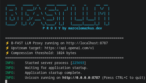 B-FAST LLM Proxy